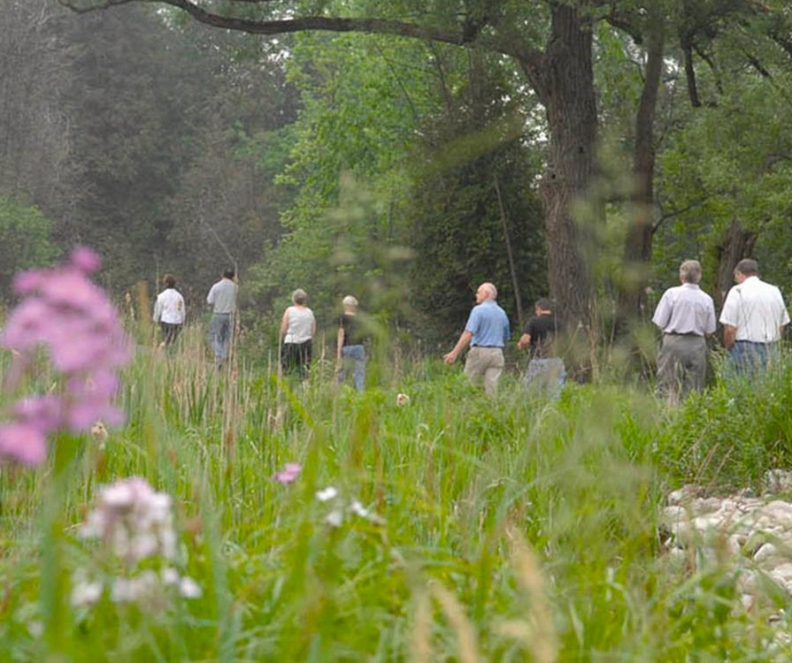 A group of people walking in a field